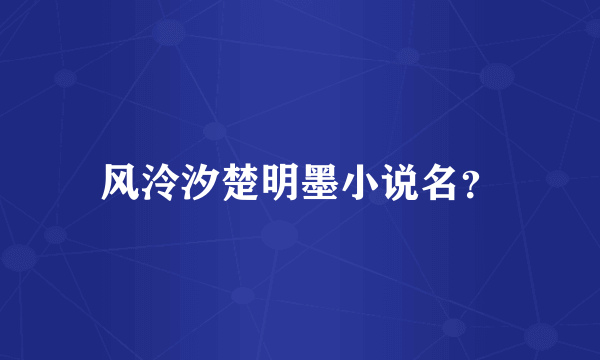 风泠汐楚明墨小说名？