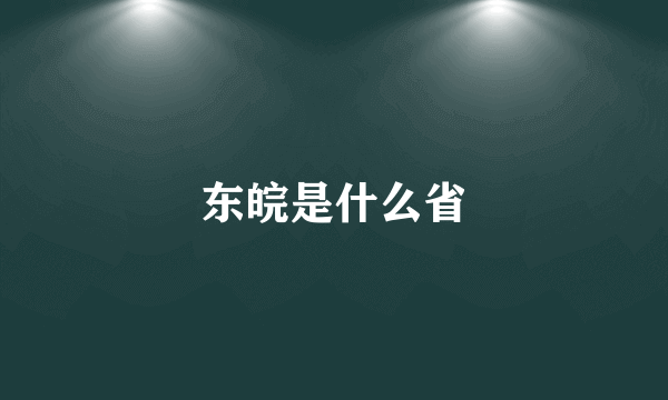 东皖是什么省