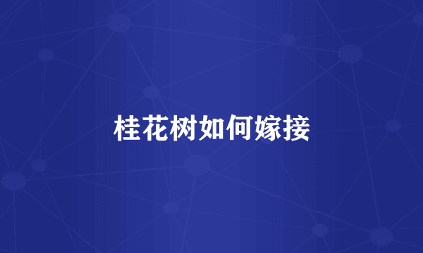 桂花树如何嫁接