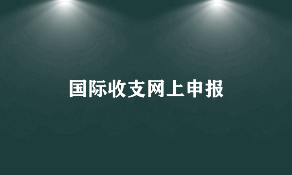 国际收支网上申报