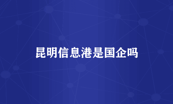 昆明信息港是国企吗