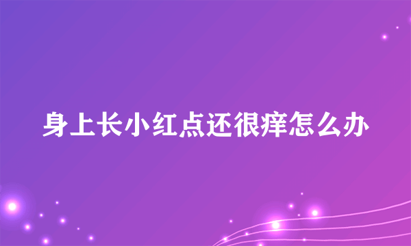 身上长小红点还很痒怎么办