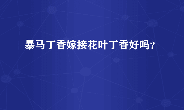 暴马丁香嫁接花叶丁香好吗？