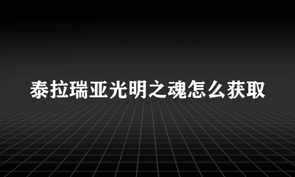 泰拉瑞亚光明之魂怎么获取