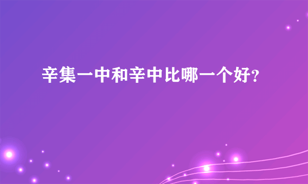 辛集一中和辛中比哪一个好？