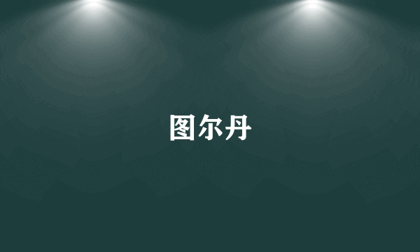 图尔丹