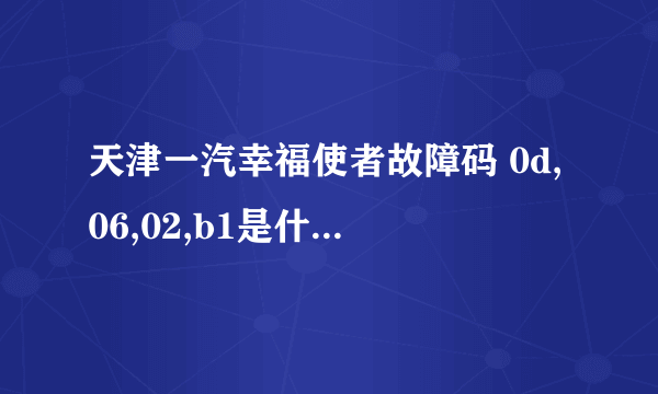 天津一汽幸福使者故障码 0d,06,02,b1是什么意思?