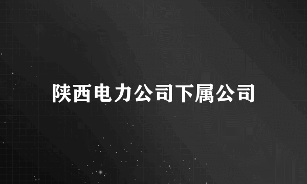陕西电力公司下属公司