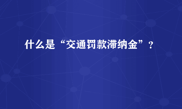 什么是“交通罚款滞纳金”？