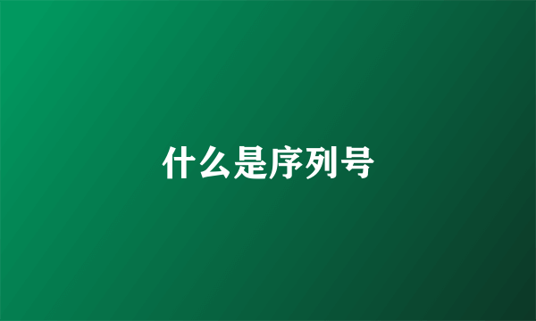 什么是序列号