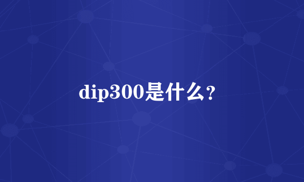 dip300是什么？