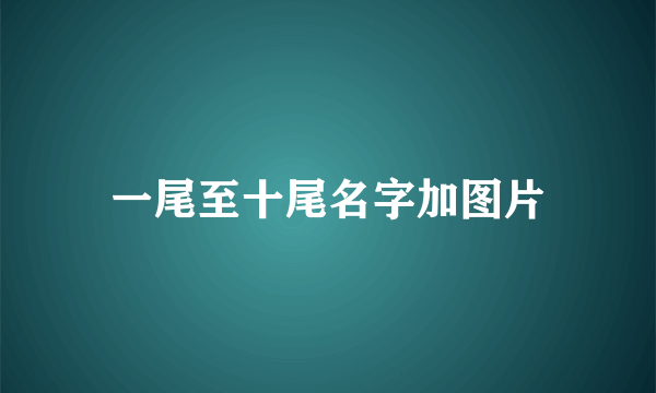 一尾至十尾名字加图片