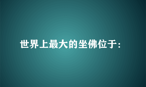 世界上最大的坐佛位于：