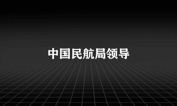 中国民航局领导