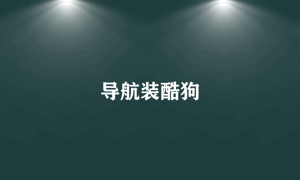 导航装酷狗