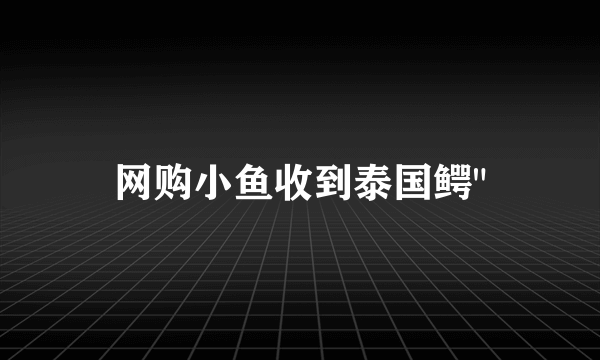网购小鱼收到泰国鳄