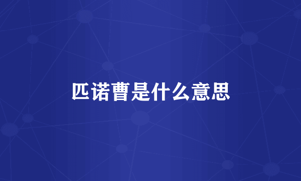匹诺曹是什么意思