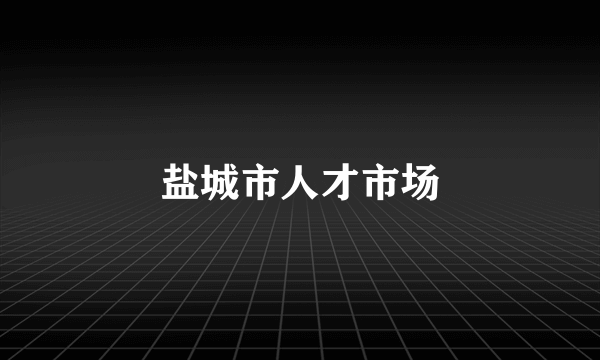 盐城市人才市场