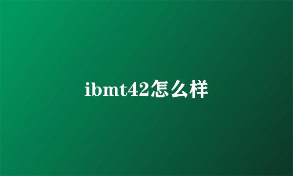 ibmt42怎么样