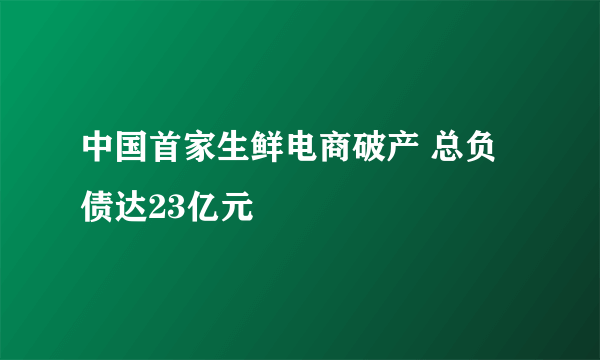 中国首家生鲜电商破产 总负债达23亿元
