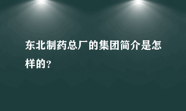 东北制药总厂的集团简介是怎样的？