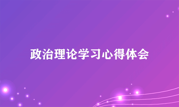 政治理论学习心得体会