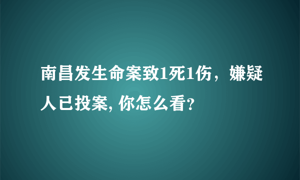 南昌发生命案致1死1伤，嫌疑人已投案, 你怎么看？