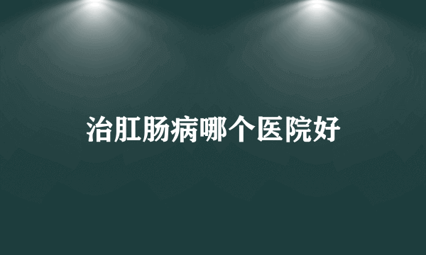 治肛肠病哪个医院好