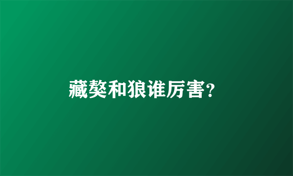 藏獒和狼谁厉害？