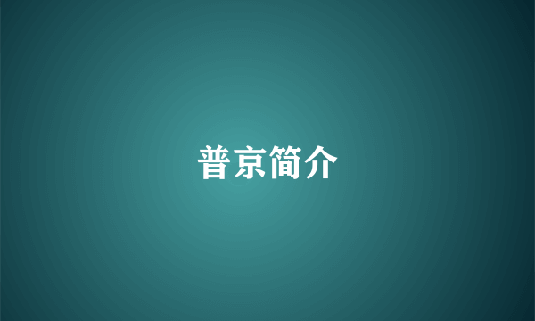 普京简介