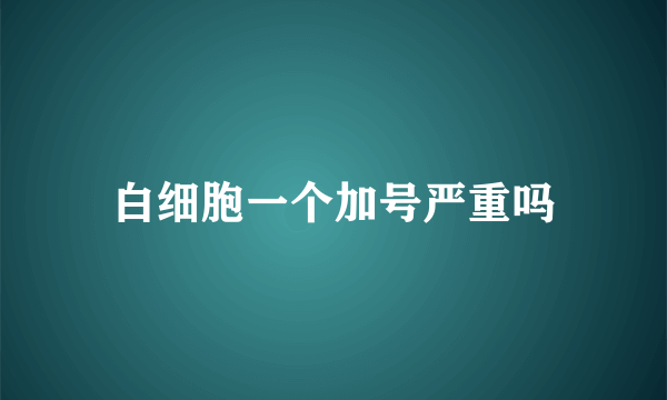 白细胞一个加号严重吗