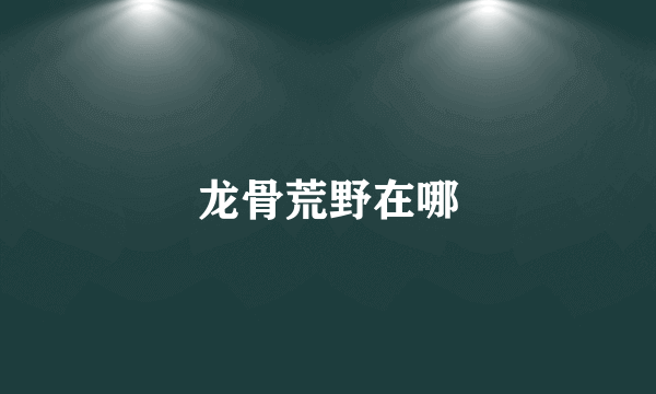 龙骨荒野在哪
