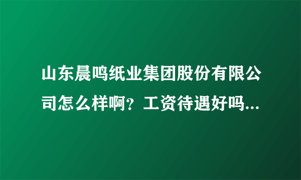 山东晨鸣纸业集团股份有限公司怎么样啊？工资待遇好吗？谁在那里干啊我们聊聊？