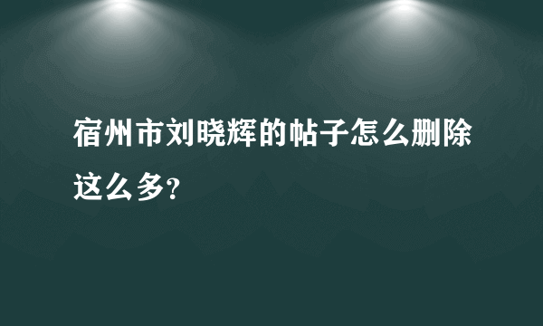 宿州市刘晓辉的帖子怎么删除这么多？
