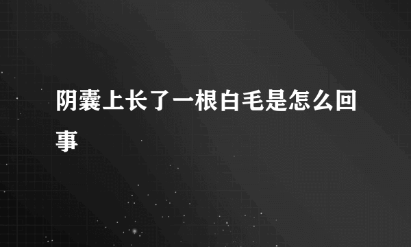 阴囊上长了一根白毛是怎么回事
