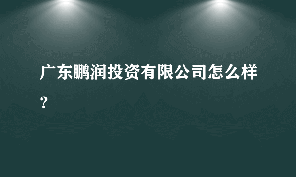广东鹏润投资有限公司怎么样？