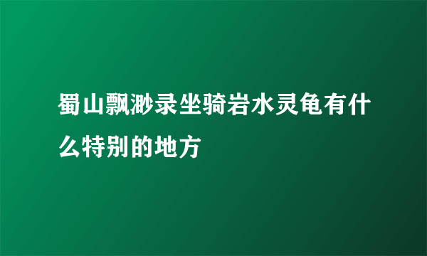 蜀山飘渺录坐骑岩水灵龟有什么特别的地方