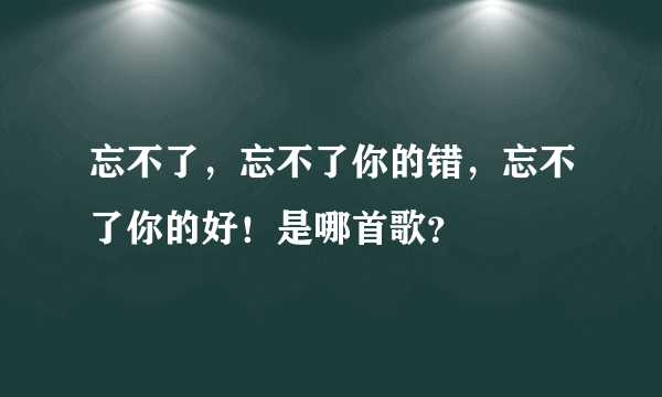 忘不了，忘不了你的错，忘不了你的好！是哪首歌？