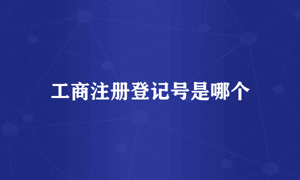 工商注册登记号是哪个