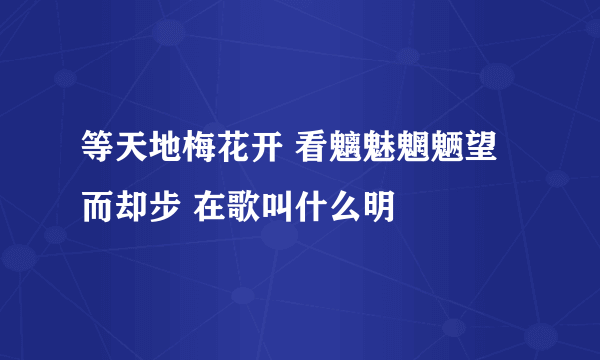 等天地梅花开 看魑魅魍魉望而却步 在歌叫什么明