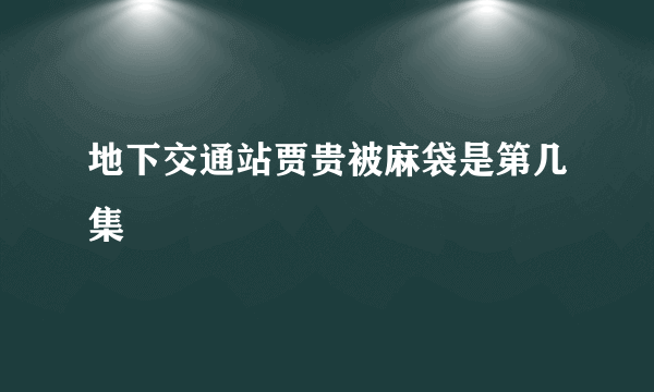 地下交通站贾贵被麻袋是第几集