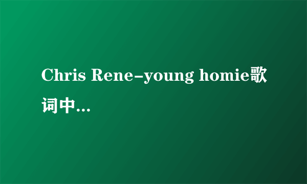 Chris Rene-young homie歌词中文翻译 谢谢