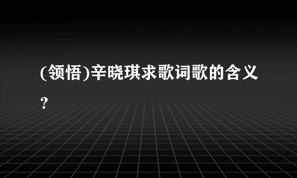 (领悟)辛晓琪求歌词歌的含义？