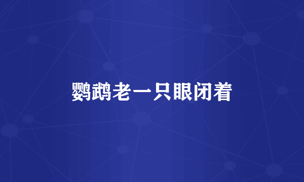 鹦鹉老一只眼闭着