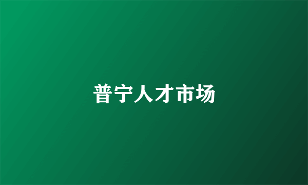普宁人才市场