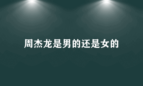 周杰龙是男的还是女的
