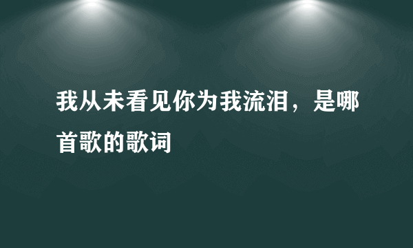 我从未看见你为我流泪，是哪首歌的歌词