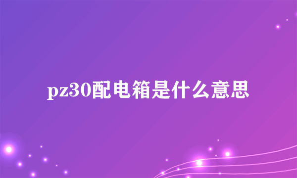 pz30配电箱是什么意思