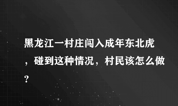 黑龙江一村庄闯入成年东北虎，碰到这种情况，村民该怎么做？