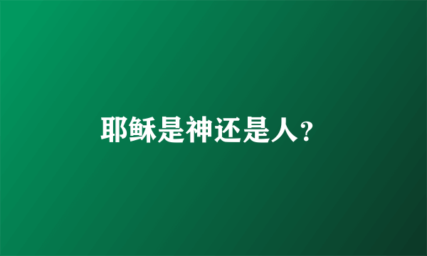 耶稣是神还是人？